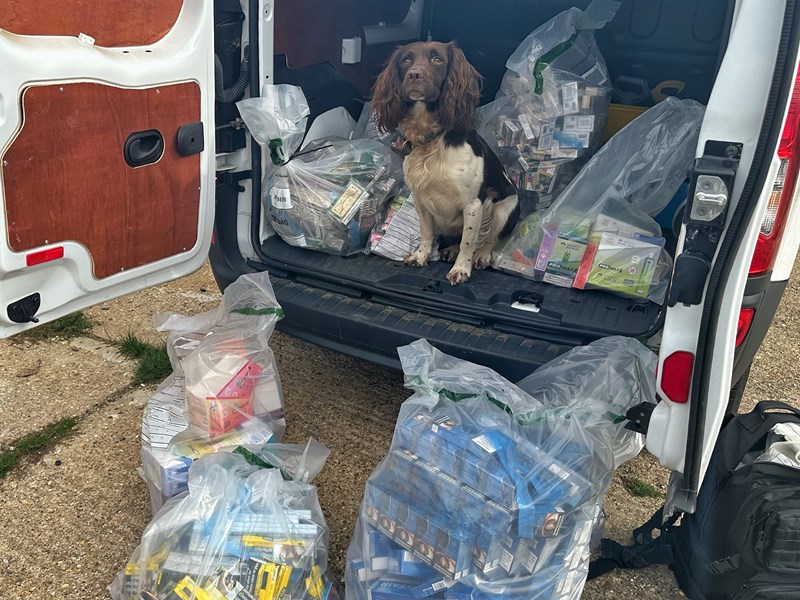 Tobacco Detection Dog Griff with seized illegal tobacco products 