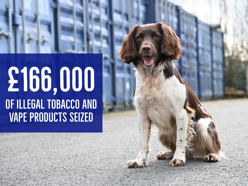Tobacco Detection Dog "Griff"
